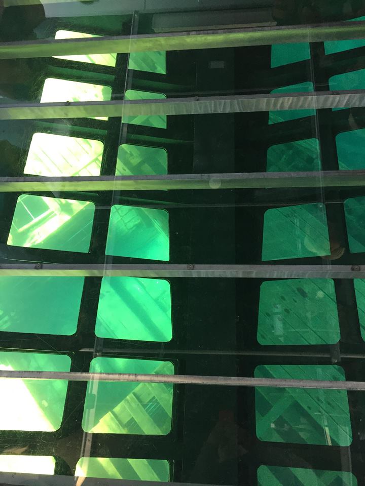 a view of Sweepstakes through the glass bottom of the Blue Heron 8, showing a hatch.