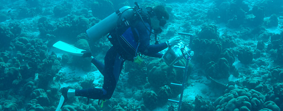 Oceanographer in diving gear