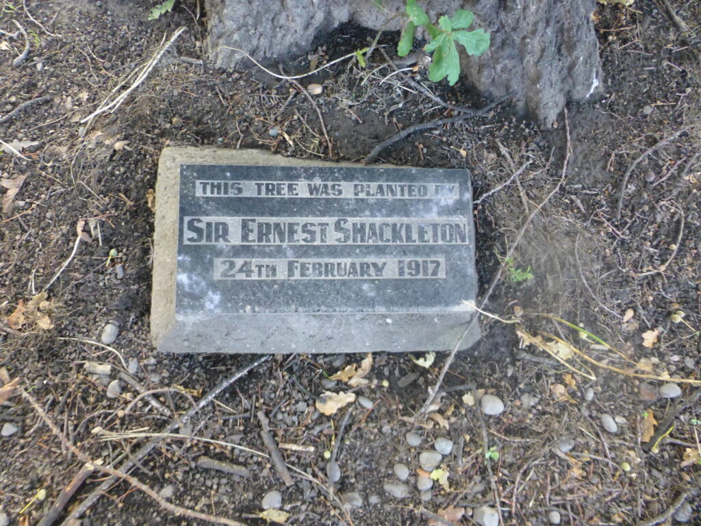 A plaque bearing the name of Shackleton with the date planted