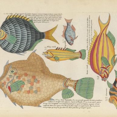 1754 color publication on fish