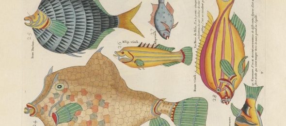 1754 color publication on fish