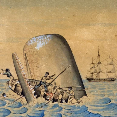 Engraving of nineteenth-century whalers