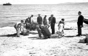 Sheep, with legs tied, on beach where they were landed by currach from the steamer Naomh Éanna, Inis Óirr, Aran Islands, County Galway. © National Museum of Ireland.