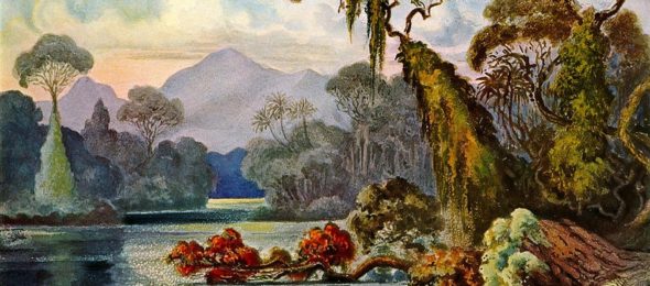 A nineteenth-century illustration of a jungle lagoon